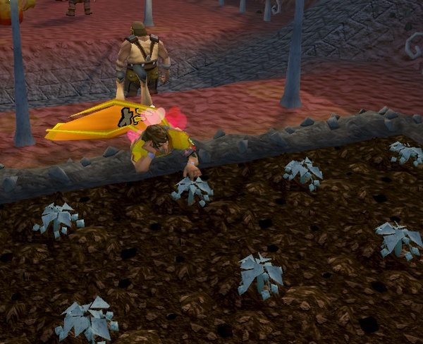 Hopfen wächst.jpg (117.42 KiB) 7560-mal betrachtet Hopfen wächst.jpg