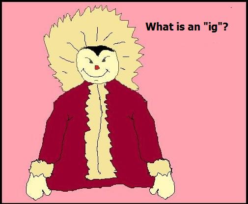 what-is-an-ig.jpg