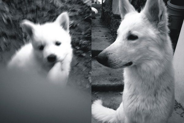 326393_10150438150754846_1667738151_o.jpg (185.78 KiB) 8238-mal betrachtet 326393_10150438150754846_1667738151_o.jpg