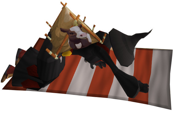 Kuh campt Magier2.jpg