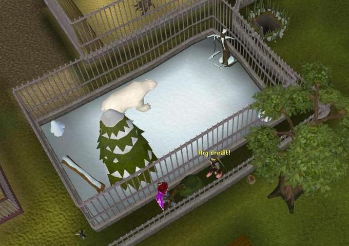 Datei:Pinguin - Arg dreist.jpg