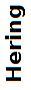 Hering - Schrift.jpg