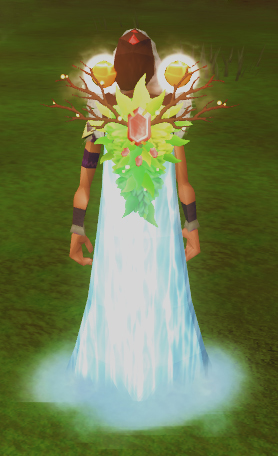 Umhang der Sammler.jpg