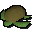 Rohe Schildkröte.png