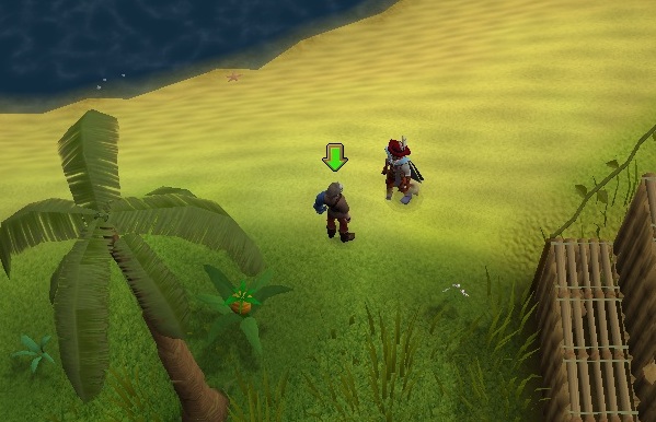 Aufmerksamer Talentsucher.jpg