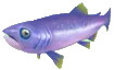 Datei:Springender Lachs-Aquarium.png