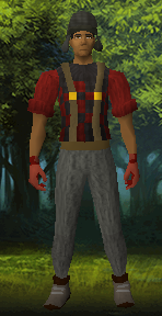 Datei:Holzfäller-Kleidung.png