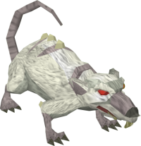 Vertrauter - Albino-Ratte.png