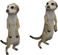 Vertraute - Erdmännchen.png