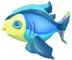 Datei:Regenbogenfisch-Aquarium.png