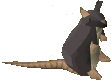 Ratte.png