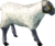 Geschorenes weißes Schaf.png