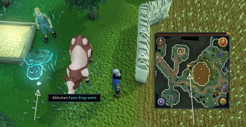 Feen Engramm Zanaris östlich Weizenfeld.jpg