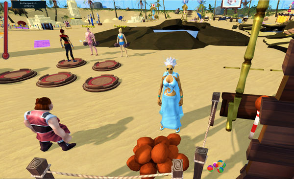 Strandparty - Ente 6.jpg