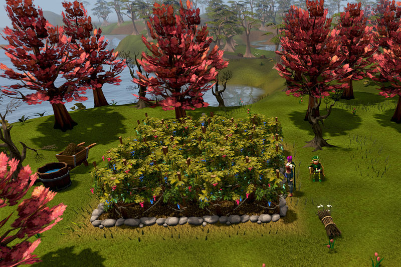 Datei:Tarmikk Weintrauben.jpg