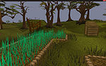 Schnapfengrassparzelle.jpg