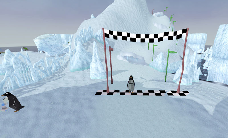 Datei:Pinguinkurs Ziellinie.jpg