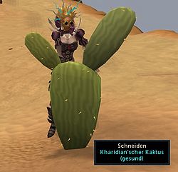 Aufgabenliste Wüste Kaktus schneiden.jpg