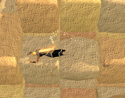 Gewandtheitspyramide Wackeliger Stein.jpg