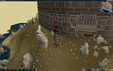 Felseninsel - Möwe.jpg