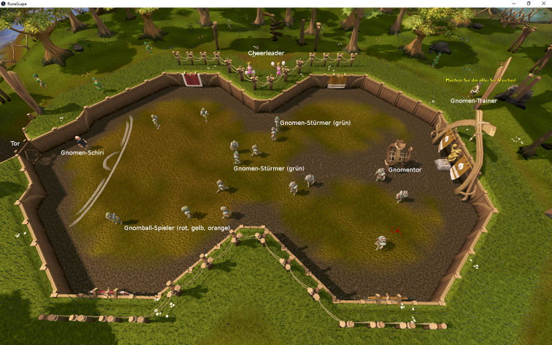 Datei:Gnomball Spielfeld.jpg