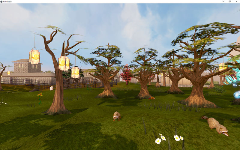 Datei:Waschbärjunge Szenenbild.jpg