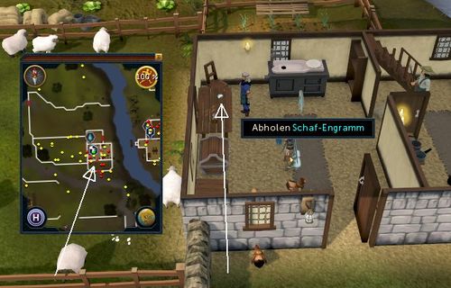 Schaf Engramm nördlich Lumby Bauer Fred.jpg