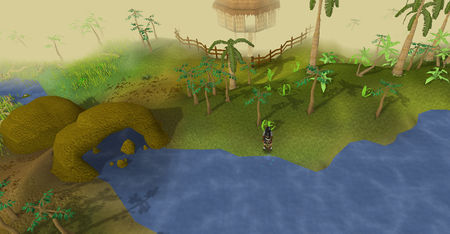 TaiBwoWannai - Karambwanji.jpg