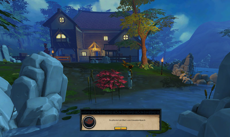 Datei:Nadelsprung - Kreuzdornbusch.jpg