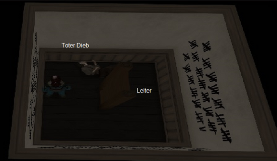 Irrenhaus - 14 Toter Dieb.png