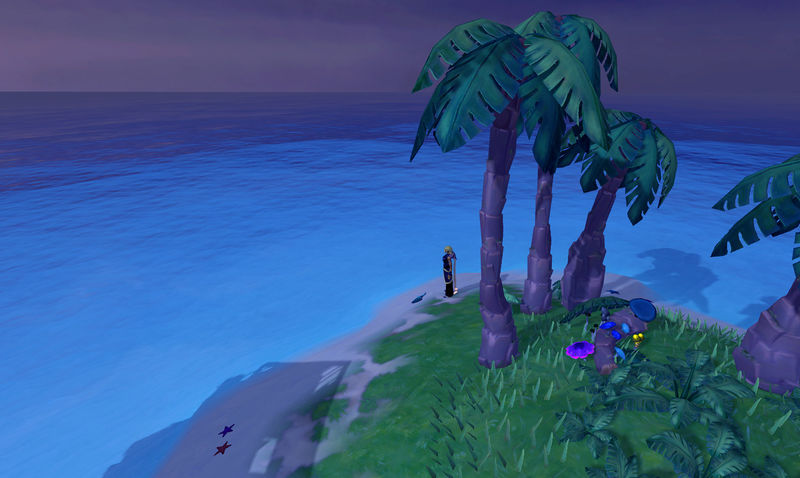 Datei:Arc - Flaschenpost Einstschildkrötinsel1.jpg