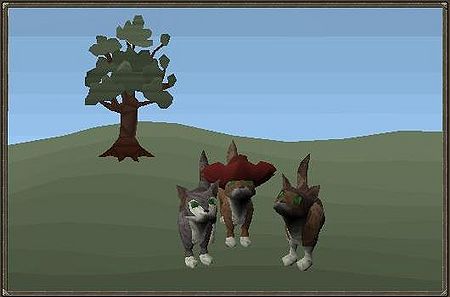 Felseninsel - Abspann.jpg