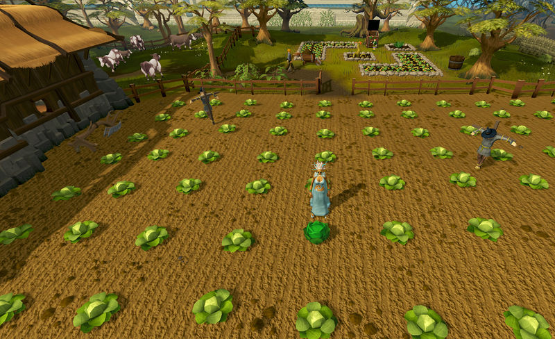 Datei:Hasenherz - Kohlkopffeld.jpg