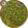 Minimap ALS.gif