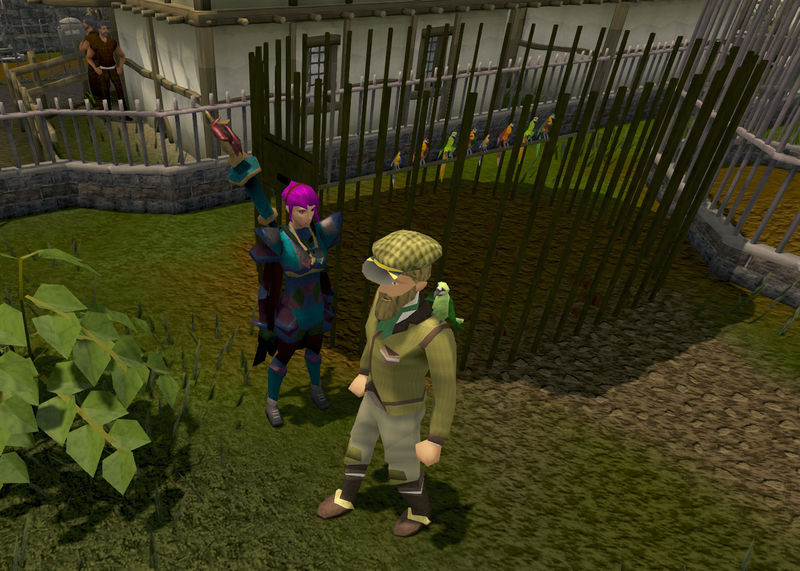 Datei:Tarmikk Papageien.jpg