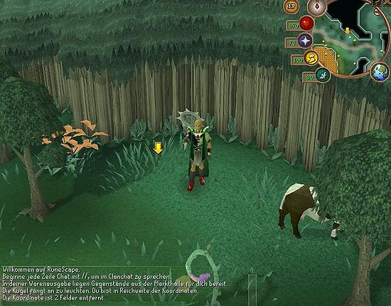 Scan-Ziel Zanaris.jpg