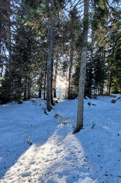 Datei:Tarmikk Winter.jpg