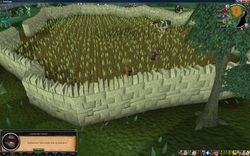 Wandernder Feebold Zanaris.jpg