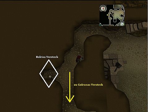 Sicheres Versteck für Bolrie.jpg