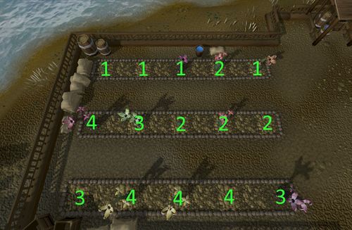 Grummelhof Pflanzen.jpg