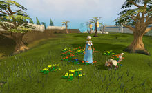 Wolldo Blumenbeet.jpg