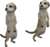Erdmännchen.png