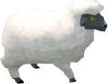 Weißes Schaf.png