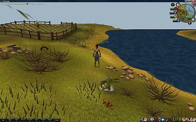 Druidenritual - Wanderwurmspringkraut.jpg