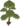 Eibenbaum.png