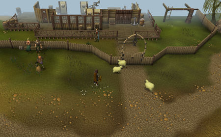 Trauernden I - Schafe.jpg