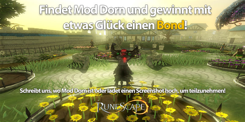 Datei:Findet Dorn7.jpg