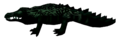 Ach-Krokodil.png